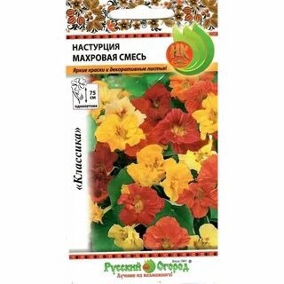 Настурция махровая смесь выращивание из семян