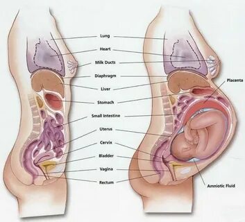 Порно аналар 50 жаста