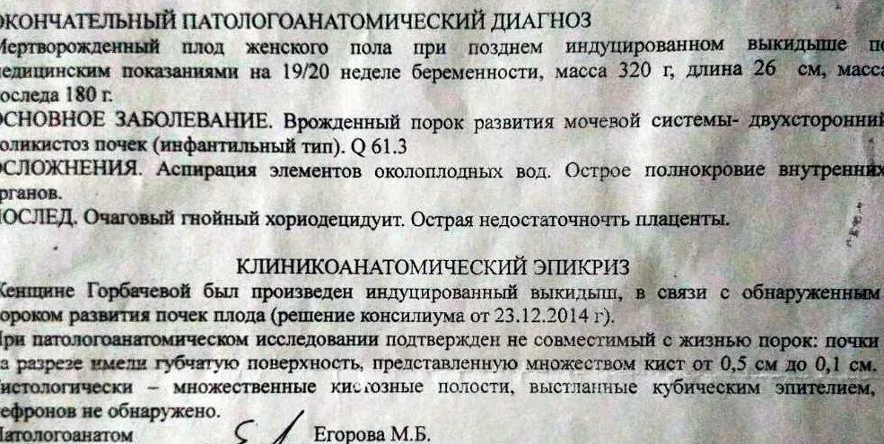 Диагноз выкидыш. Самопроизвольный выкидыш узи заключение. заключение врача при выкидыше. справка после выкидыша. заключение узи после выкидыша.