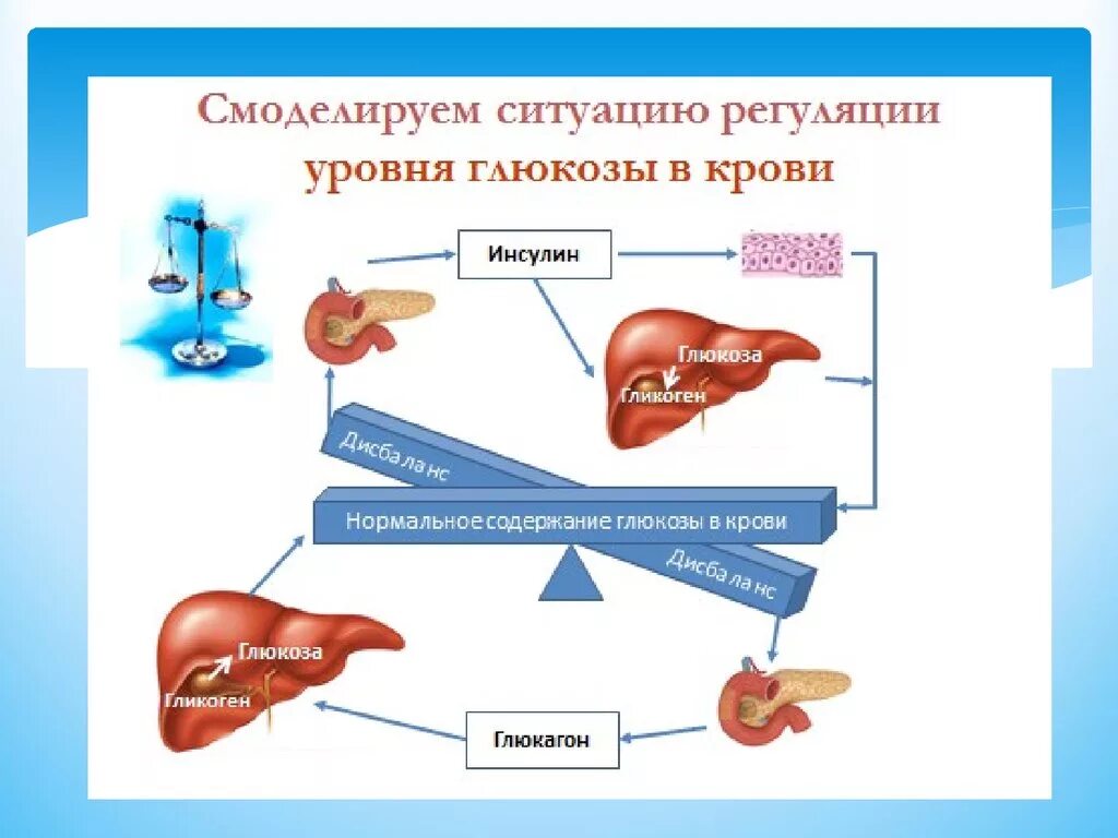 Повышение глюкозы в крови гормон. Регуляция уровня Глюкозы в крови схема. Механизм регуляции концентрации сахара крови. Схема регуляции содержания Глюкозы в крови. Механизмы поддержания постоянной концентрации Глюкозы в крови.