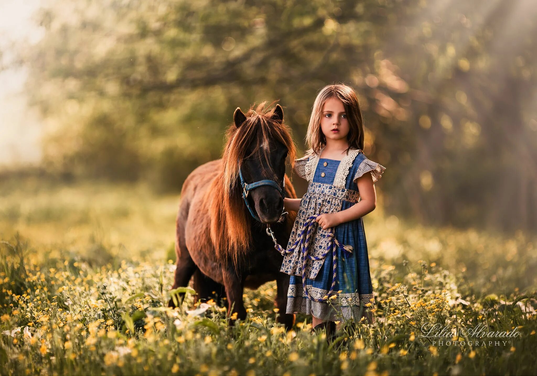 Horse kids. Фотосессия с лошадьми дети. Лошадь для детей. Дети и природа. Лошади и рыжие дети.