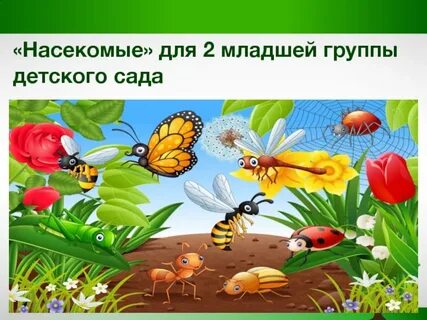 Проект насекомые в саду