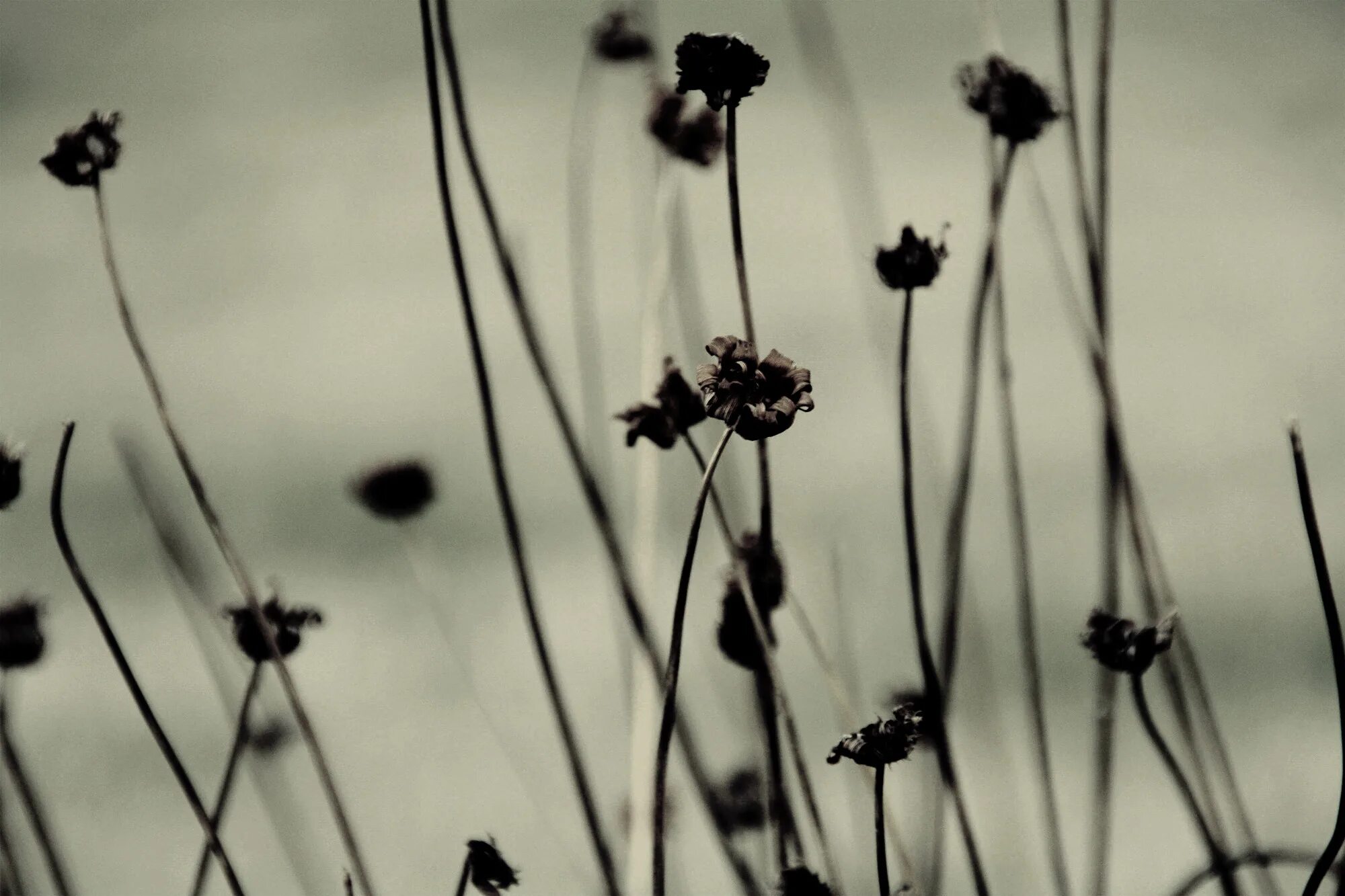 Монохромная фотосессия. Монохромные фото. Монохромные. Монохром фото. Пейзаж города.