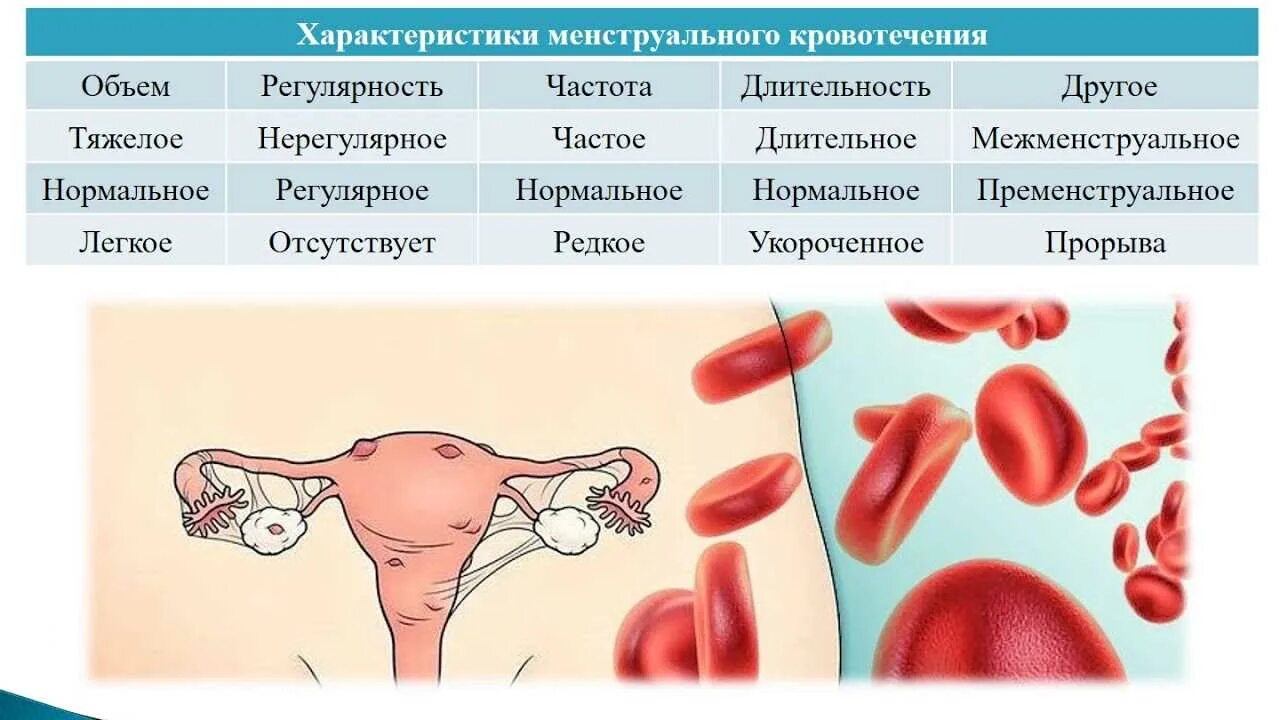 Кровотечение вне менструационного цикла причины. Аномальные маточные кровотечения. Межменструальные кровотечения. Гинекологические кровотечения. Маточное кровотечение причины.