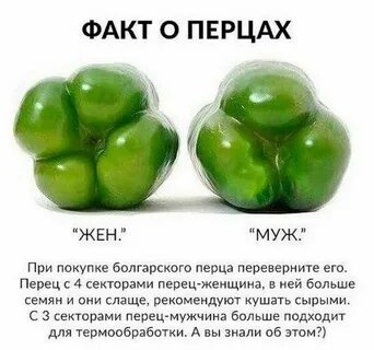 Пол перец
