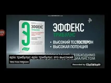 Эффекс трибулус таб отзывы