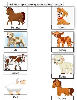 Жетілген БДСМ порно видеолар