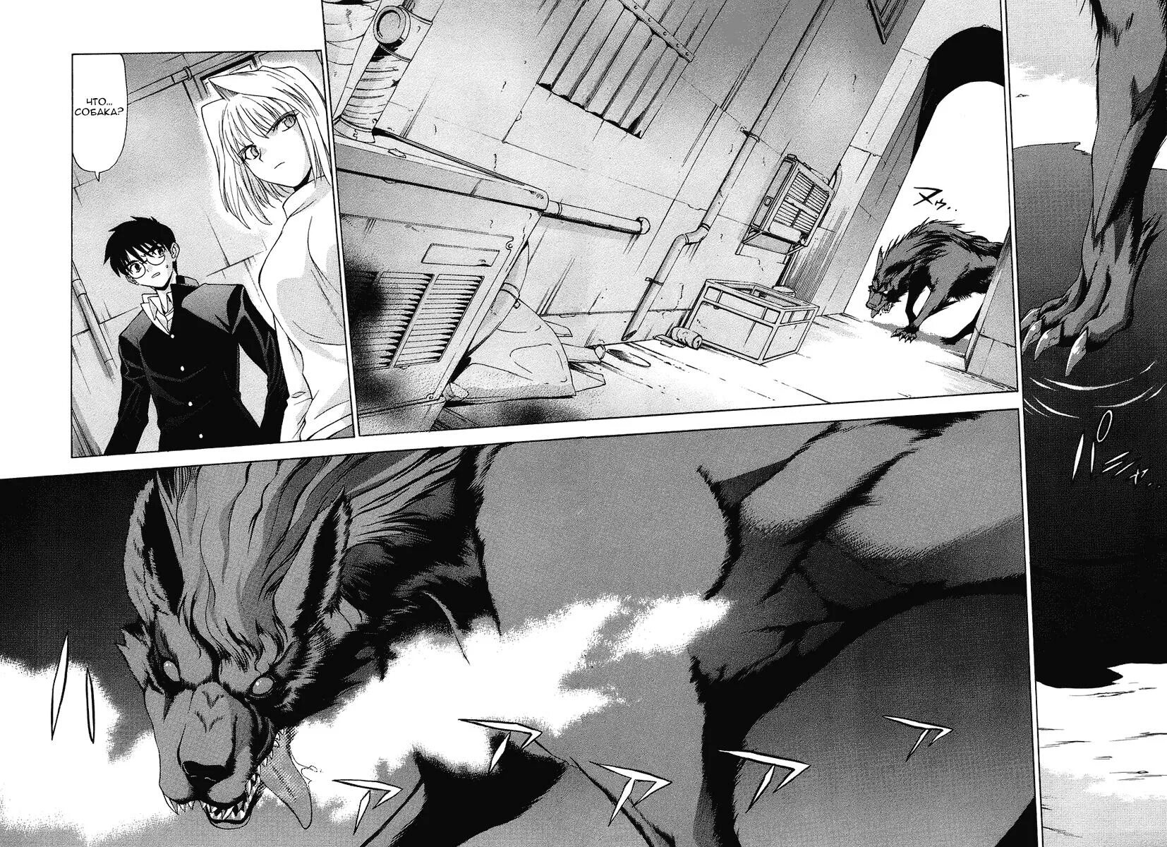Читать мангу повесть временных. Манга lunar legend tsukihime. лунная легенда цукихимэ. shingetsutan tsukihime манга front томов. повесть временных лет манга арты.
