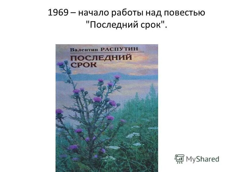 Распутин последний срок анализ