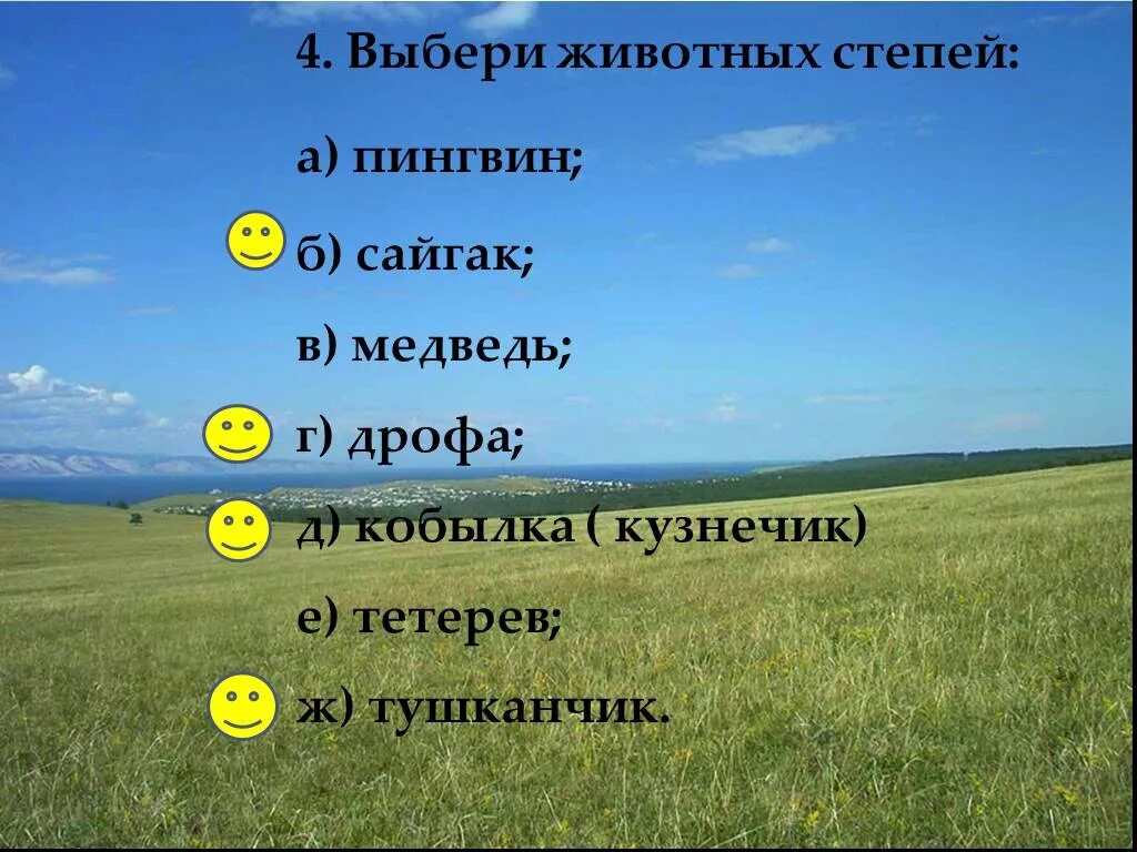 Окружающий мир тест степь. Загадки про степь. Вопросы по Степной зоне. Загадки на тему зона степей. Вопросы про степь.