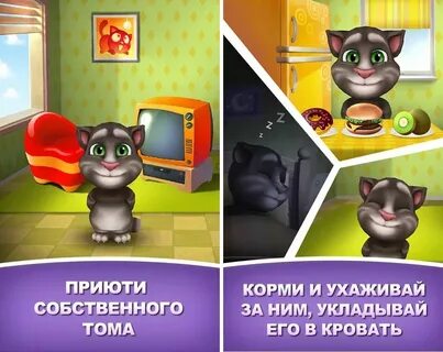 Обыкновенный говорящий кот мяун книга 1