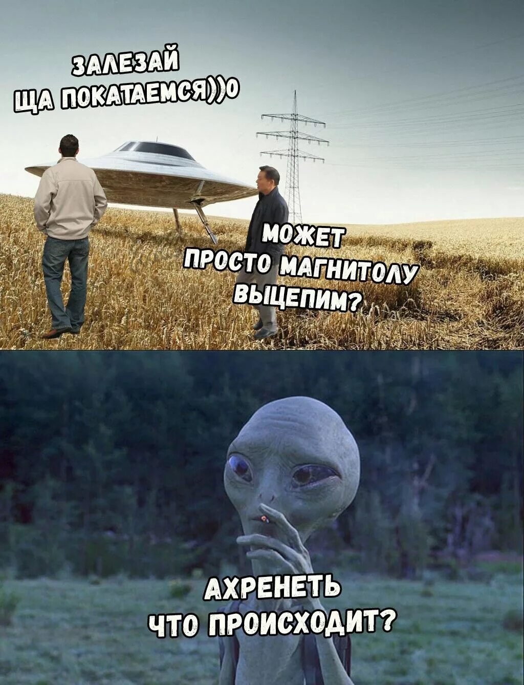 Когда будете прилетать. Когда будете прилетать. Стих про весенних птиц. Приколы про вес. Цитаты о упреках.