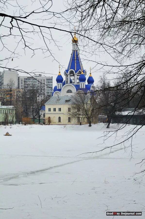 Город костино. Храм Костино Королев. Храм в Костино Пушкинский район. Костинская Церковь в Королеве. Королев Московская область парк около храма в Костино.