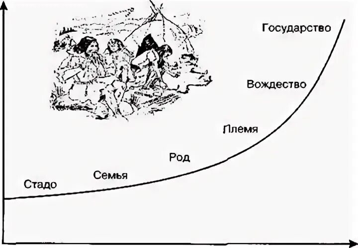 Род племя признаки