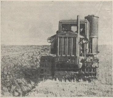 Зерносовхоз авангард