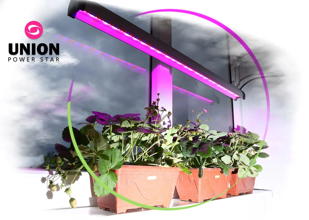 Обзор фитоламп. Фитолампа led grow light. фитолампа f4054. фитолампа 10 ватт для растений. фитолампа 60 ватт.