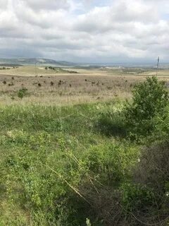 11 гектар