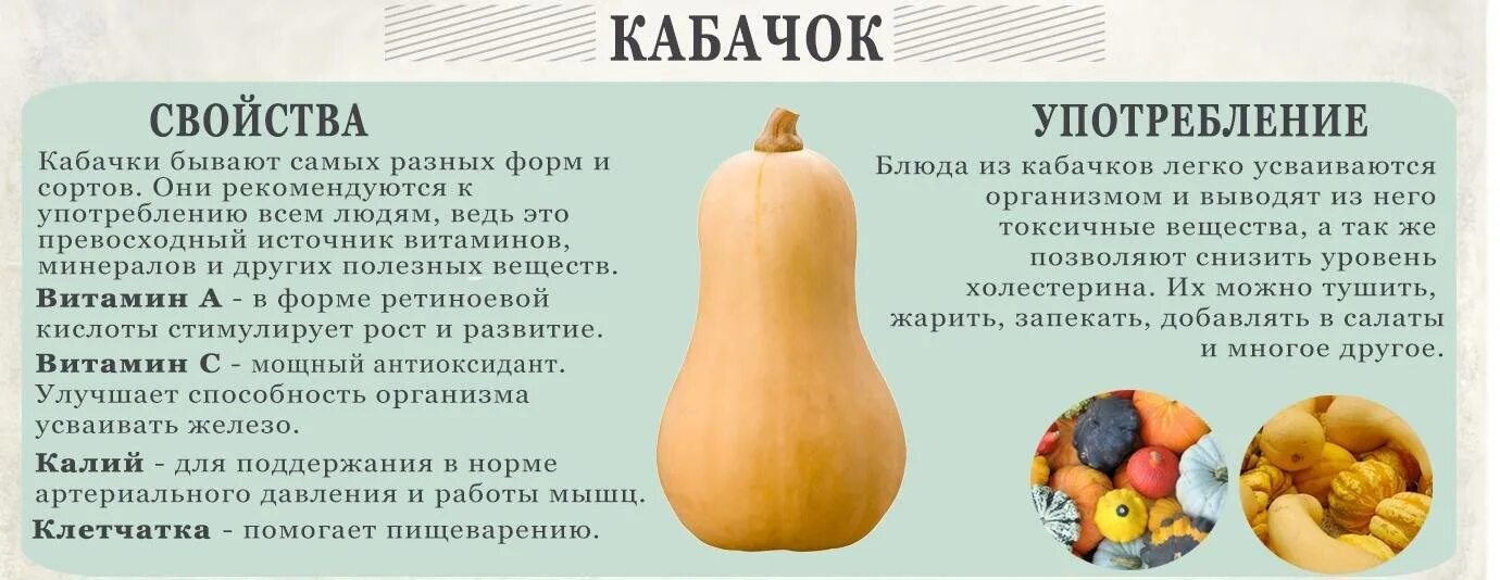 Можно кормящей кабачки