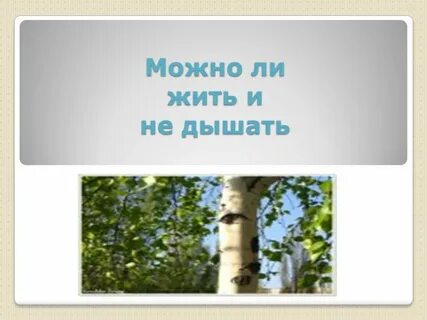 Можно ли жить и не