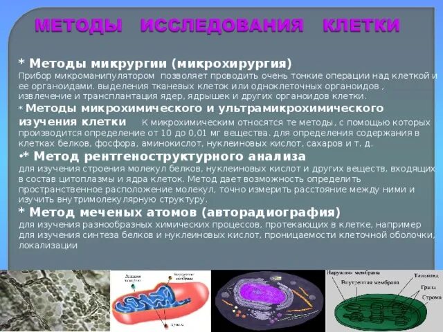 Какие методы используются для исследования клетки. Методы исследования клетки. Метод изучения клетки. Методы исследования клеток в цитологии. Микрохирургия метод изучения клетки.