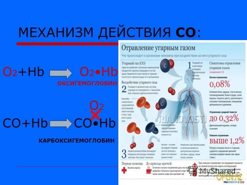 Механизм действия угарного газа на человека при отравлении. Механизм токсического действия угарного газа. Механизм действия угарного газа на гемоглобин. УГАРНЫЙ ГАЗ механизм действия.