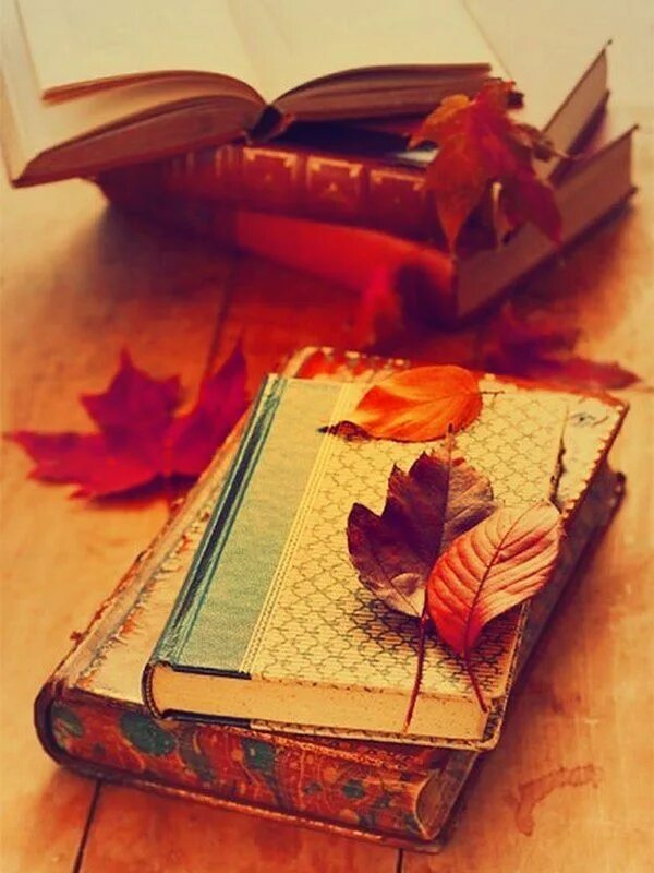 Осень книги фото. Книги под осень. Необычные книга и читатель. Книги под осень. Книжки про осень.