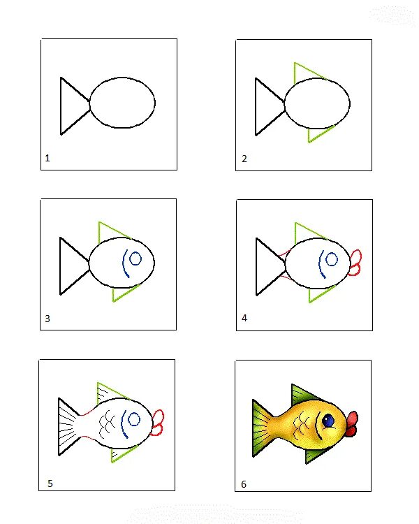 Аквариумные рыбки средняя группа. Поэтапное рисование рыбки для дошкольников. Поэтапное рисование рыбки для детей средней группы. Рисование рыбы для дошкольников. Схема рисования рыбы для детей.