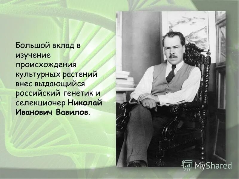 георгий дмитриевич карпеченко достижения. методы генетики и селекции. ученый биолог профессия. ученые экологи. генетика ученые.