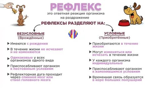 Условный и безусловный рефлекс огэ