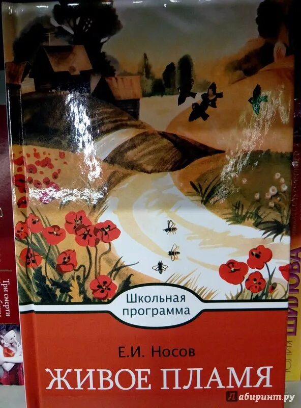 Произведения живое пламя носов. Живое пламя Носов книга. Живое пламя Носов обложка. Носов живое пламя обложка книги.