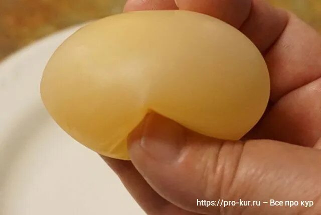 Тонкая скорлупа у куриных яиц. Яйцо без кожуры. Мягкая скорлупа. Серая скорлупа у яйца. Тонкая скорлупа у яиц.