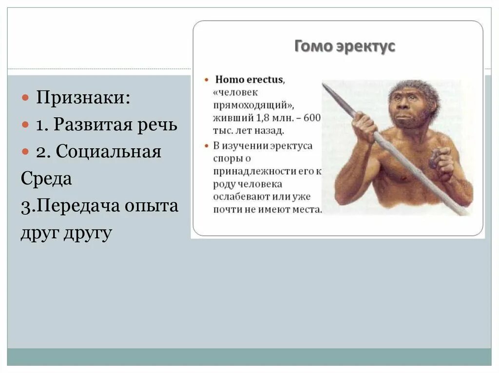 Человек прямоходящий относится к. Признаки человека прямоходящего. Способности человека прямоходящего. Человек прямоходящий homo Erectus.