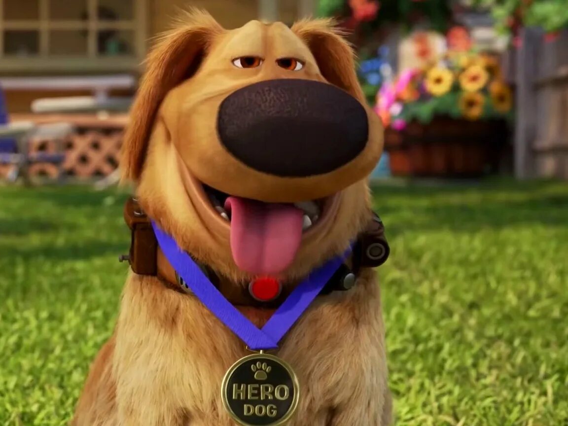 Dug. Dug days flowers. Дугдей. Дугдей. Дуг дэй собака.
