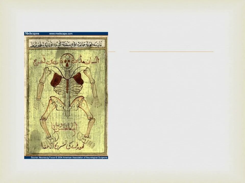 Абу али ибн сина 980 1037. Трактат о пользе. Трактат о терпимости. Трактат о пользе. Трактат ломоносов 1757.