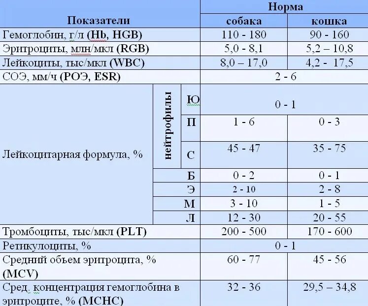 Нормы показателей у собак. Нормы показателей у собак. Нормы показателей у собак. Нормы показателей у собак. Щелочная фосфатаза таблица нормы.