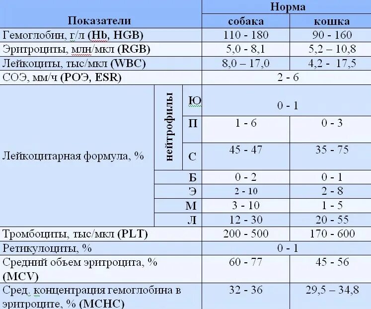 Норма сахара в крови у собак. Расшифровка общего анализа крови у собак. Показатели анализа крови у собак расшифровка норма. Норма анализа крови у собаки в норме. Биохимический анализ крови у собак норма.