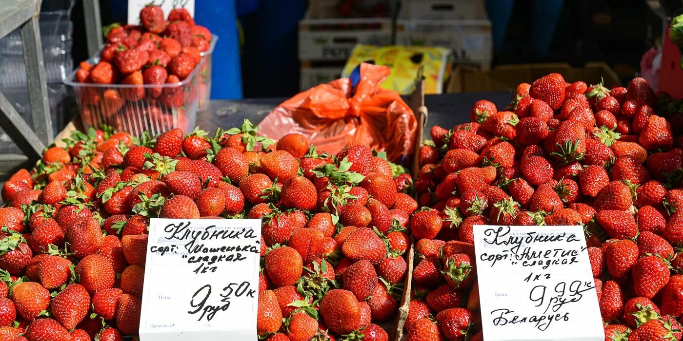 Клубника Extra Berry. Клубника Греция. Клубника из Греции. Белорусская клубника. Греческая клубника