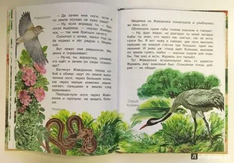 Лесные домишки текст