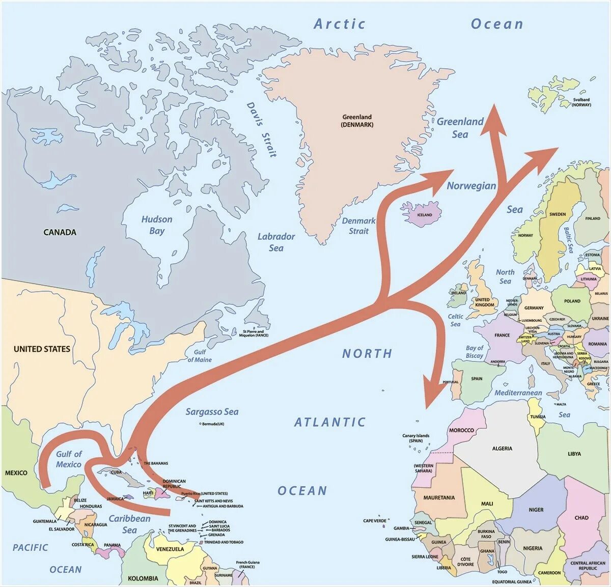 Теплое течение европы. Гольфстрим и Лабрадорское течение на карте. Гольфстрим и Северо атлантическое течение на карте. Схема движения течения Гольфстрим.
