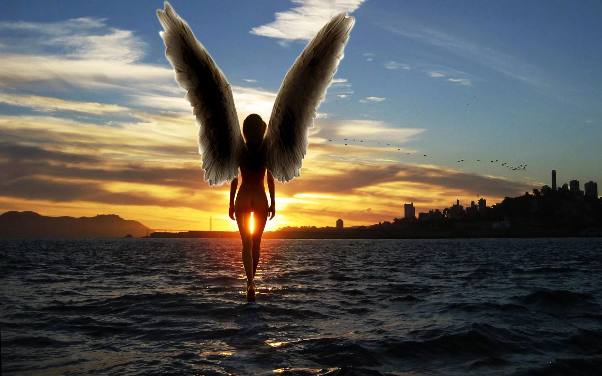 Пусть вырастут крылья. Ангел с крыльями. Девушка с крыльями. Девушка - ангел. Ангел на закате.