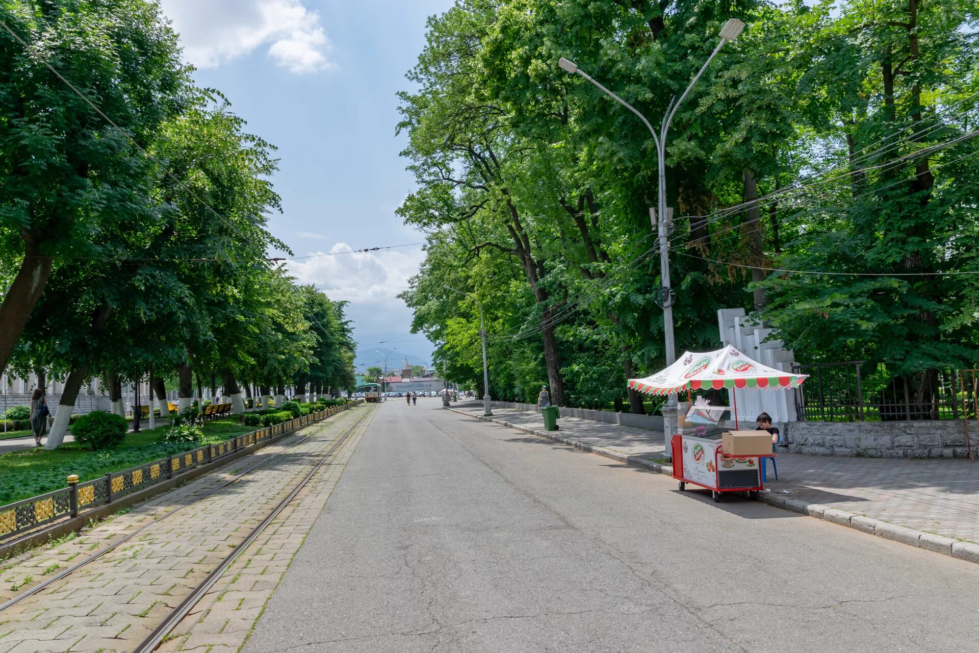 Владикавказ в 2023 г Мир