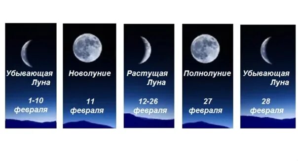 Месяц спустился к ивам. Фаза растущей Луны. Новолуние растущая Луна. Когда будет новолуние. Фаза убывания Луны.