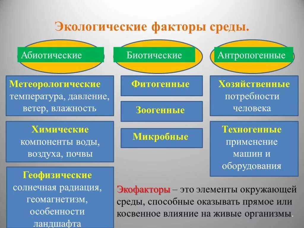 Факторы среды биология 11 класс. Экологические факторы. Факторы среды. Экологичские фактор среды. Экологические факторвсреды.