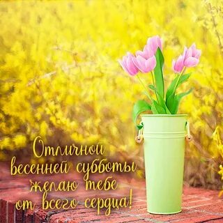 Картинки с пожеланиями хороших весенних выходных
