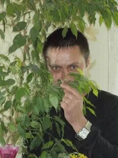 Абрамов орел