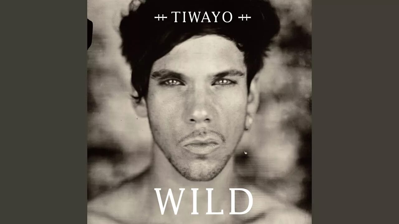 Wild перевести на русский. TIWAIO певец. Tiwayo фото. Tiwayo биография. The Avenger, Tiwayo Wild.