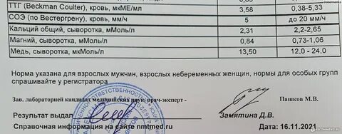 Перед сдачей ттг