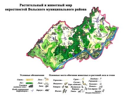 Районы растительности