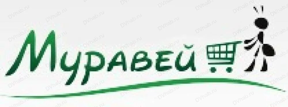 Муравей саранск. Муравьи архангельск. Тд муравей краснодар. Муравей саранск каталог товаров. Магазин муравей стройматериалов в краснодаре.