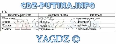 Измерение комнатных растений биология 5